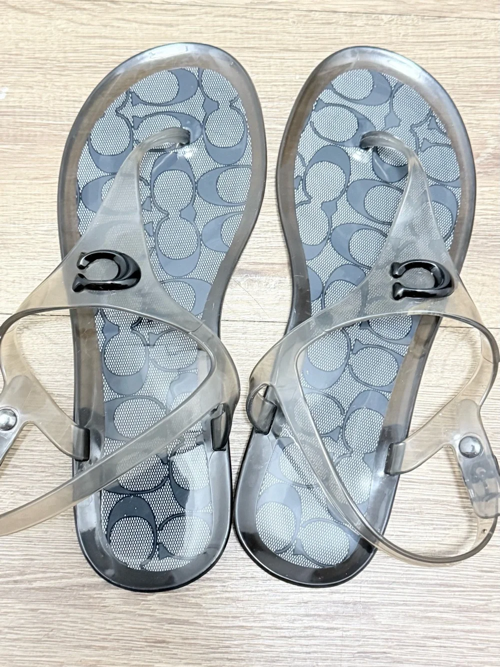 Coach stylish clear